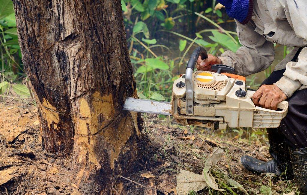 New Heights Tree Service
