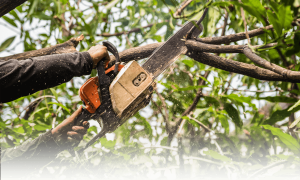 Dowling Tree Service