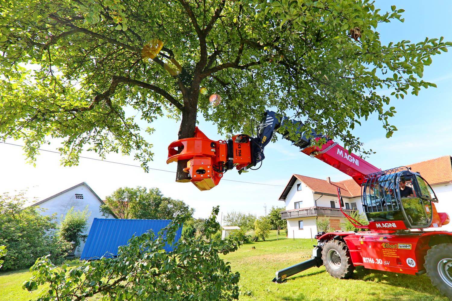 tree services by arborist the heights